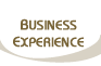 Business Experience